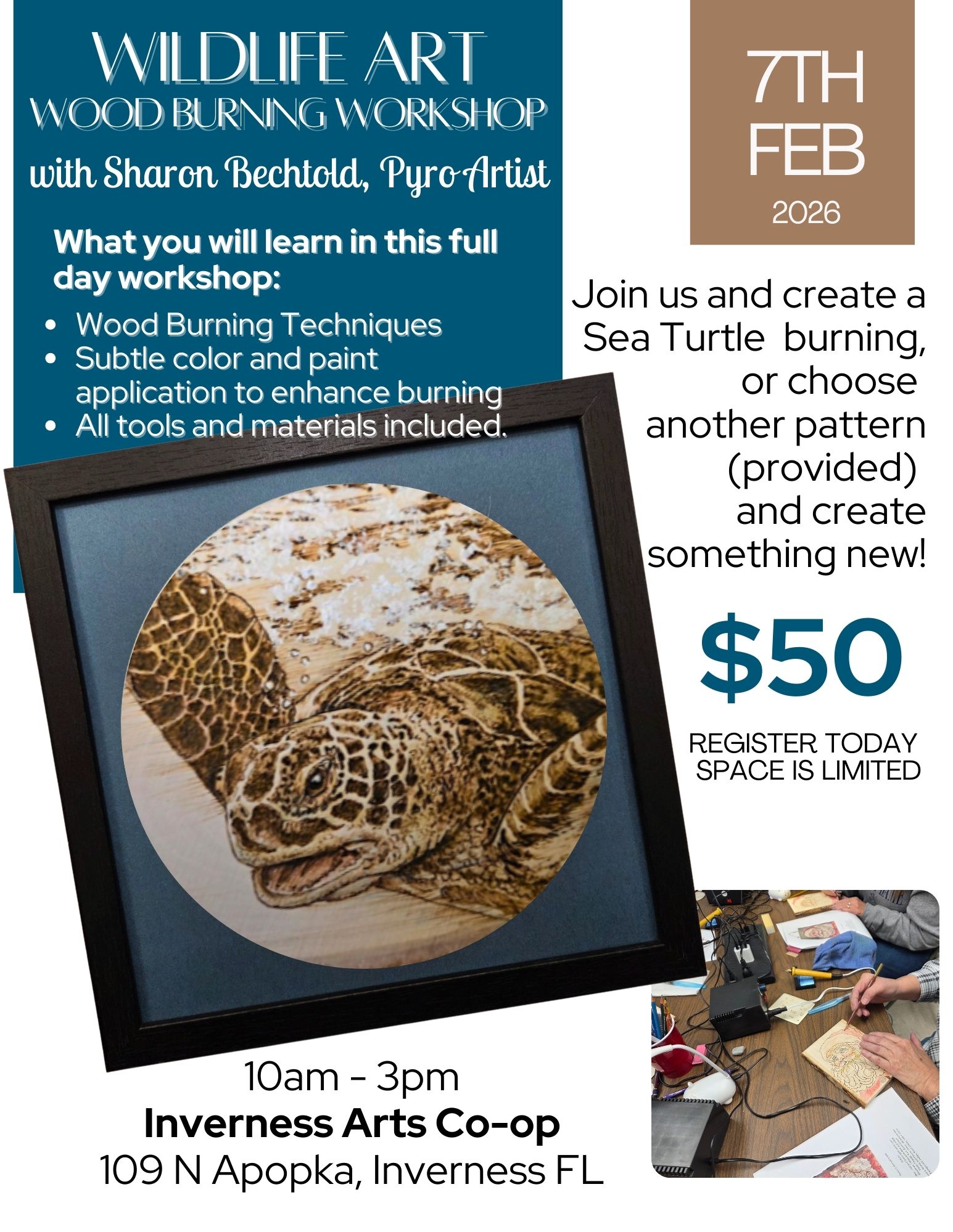 Wildlife Art Wood Burning Workshop - Sea Turtle
