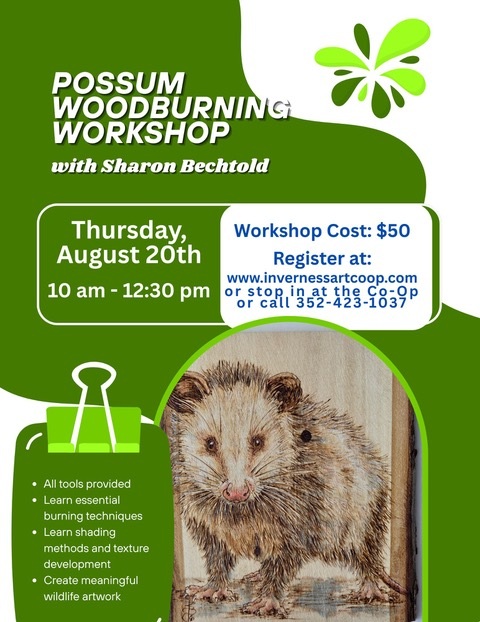 Possum Woodburning Workshop